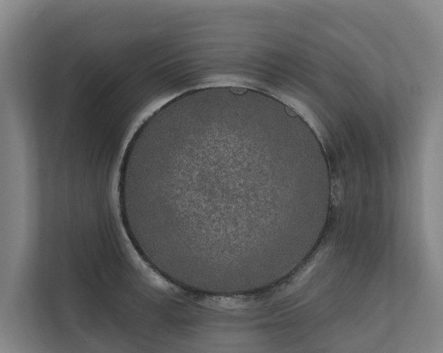 X0000110760995200906221118