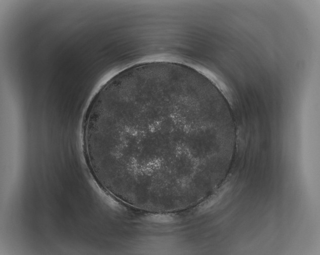 X0000110760998200906221118