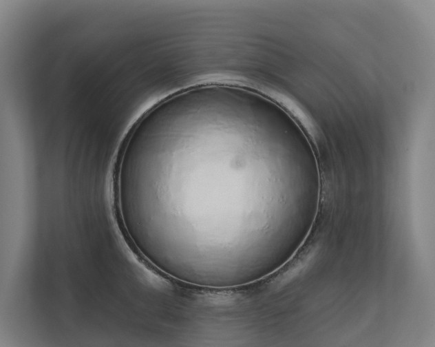 X0000110760999200906221118