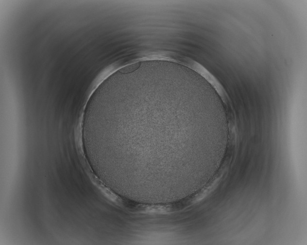 X0000110761002200906221118