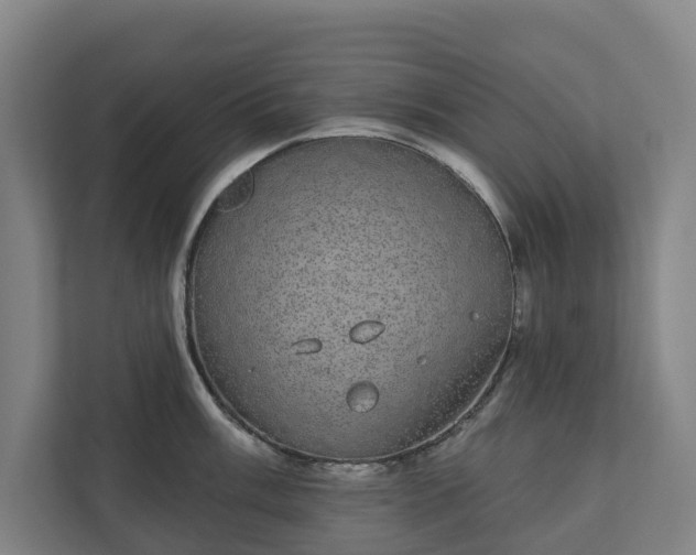 X0000110761003200906221118