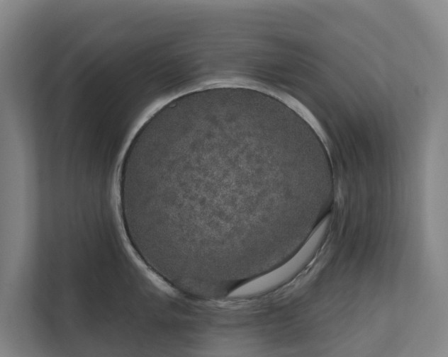 X0000110761005200906221118