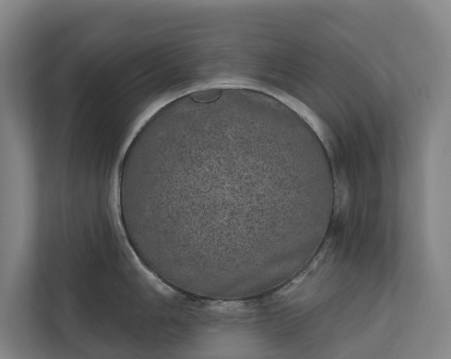 X0000110761006200906221118
