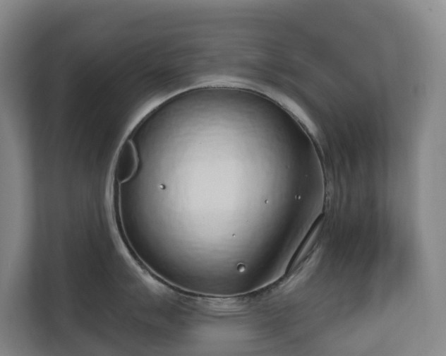 X0000110761007200906221118
