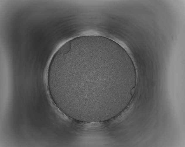 X0000110761008200906221118