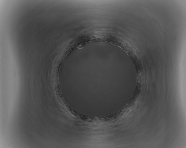 X0000110761009200906221118