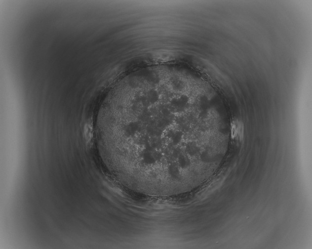 X0000110761011200906221118