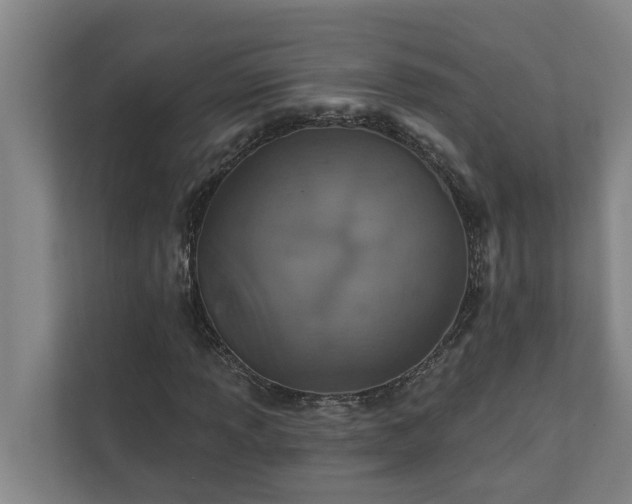 X0000110761013200906221118