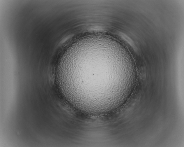 X0000110761015200906221118
