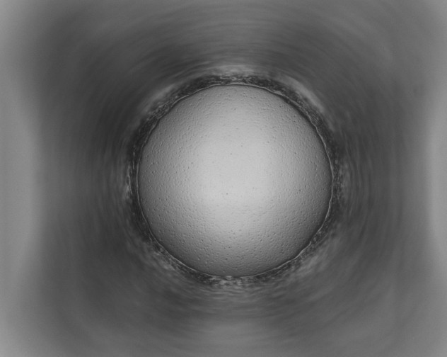 X0000110761016200906221118