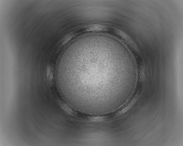 X0000110761017200906221118
