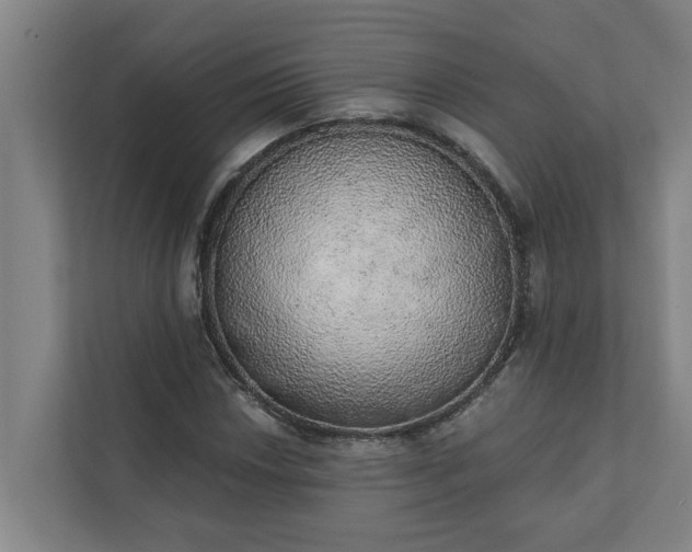 X0000110761018200906221118