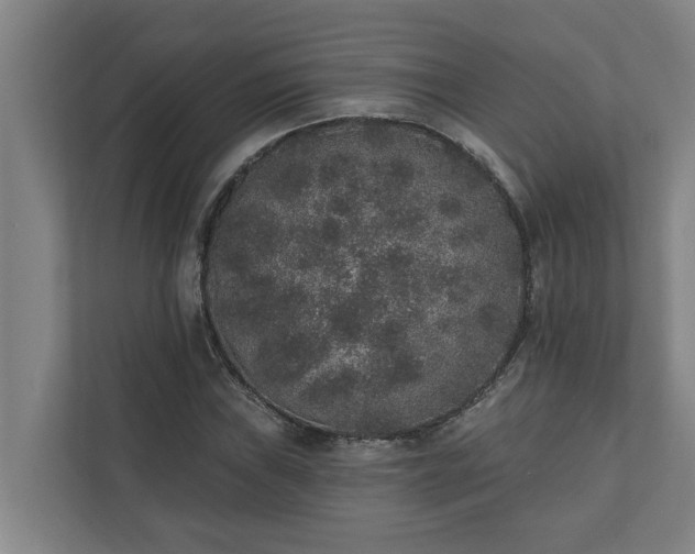 X0000110761019200906221118