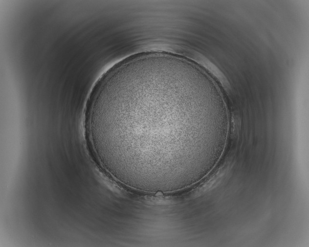 X0000110761020200906221118