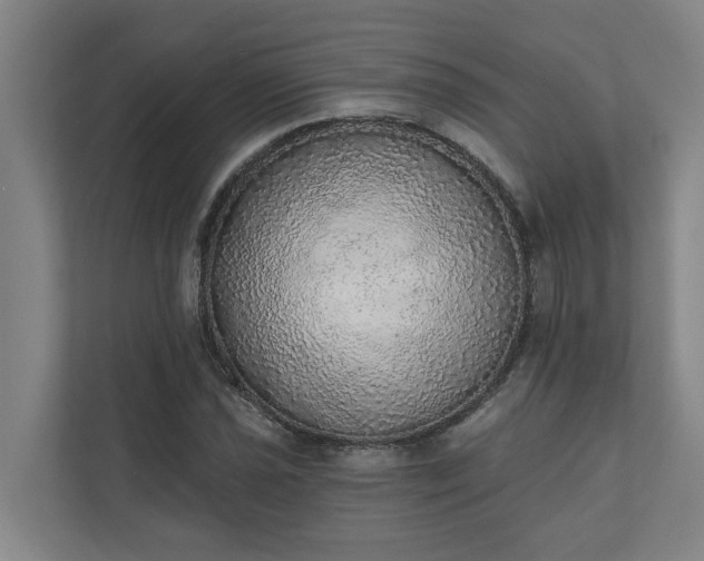 X0000110761021200906221118