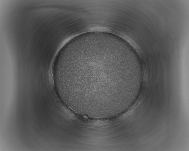 X0000110761022200906221118