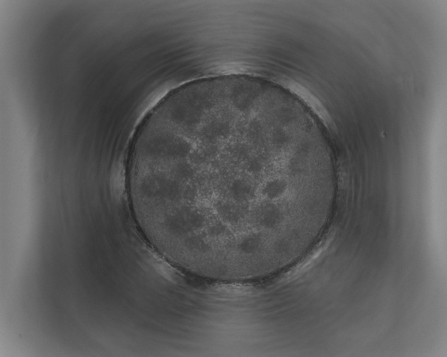 X0000110761023200906221118