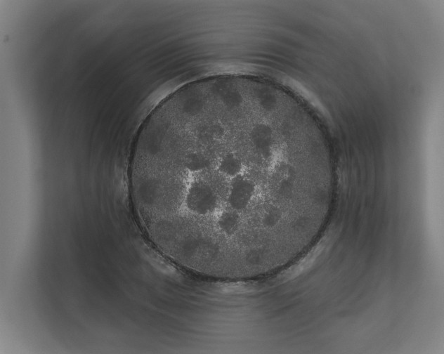 X0000110761025200906221118