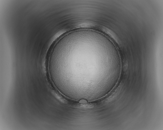 X0000110761026200906221118