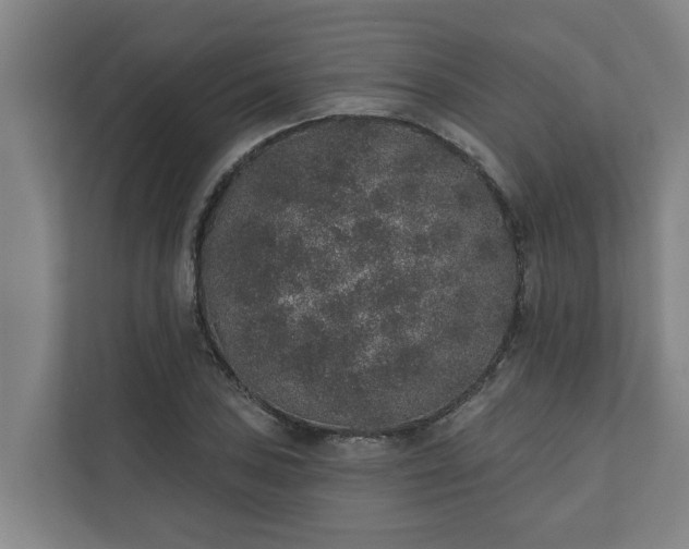 X0000110761027200906221118