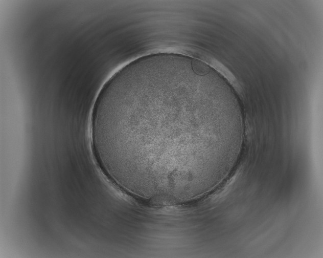 X0000110761028200906221118
