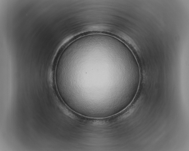 X0000110761029200906221118