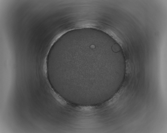 X0000110761031200906221118
