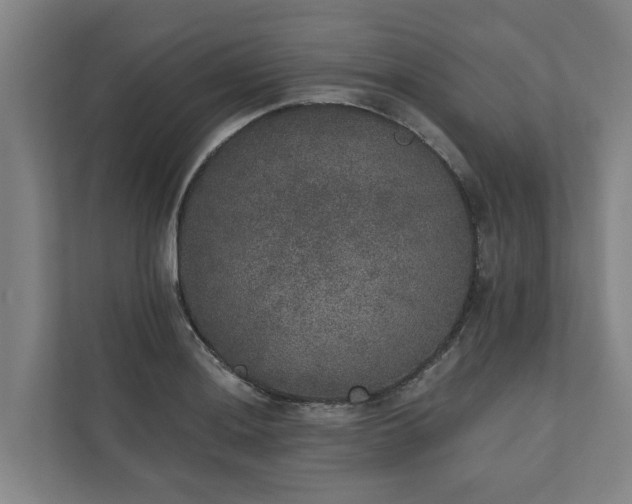 X0000110761036200906221118