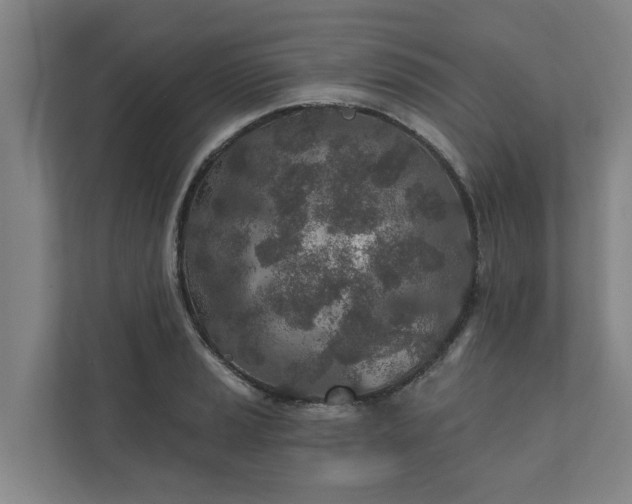 X0000110761037200906221118
