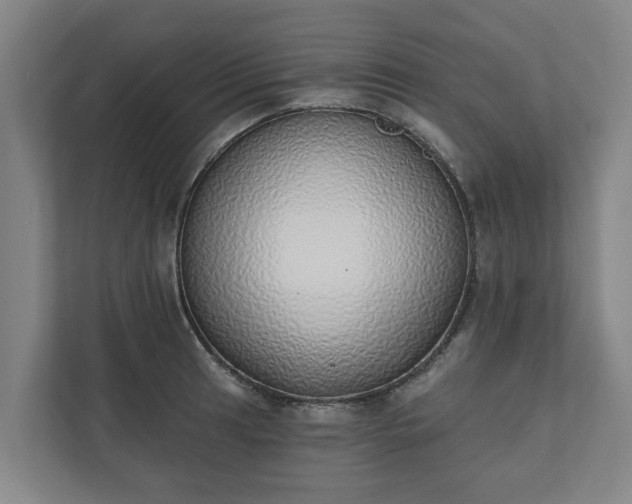 X0000110761041200906221118