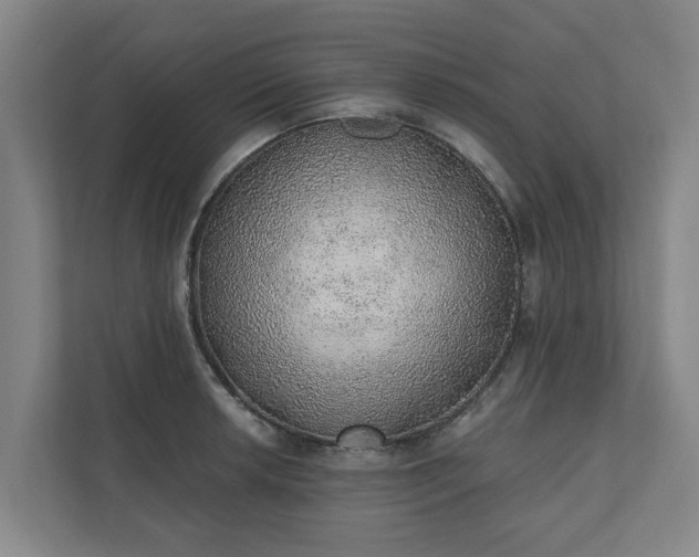 X0000110761042200906221118