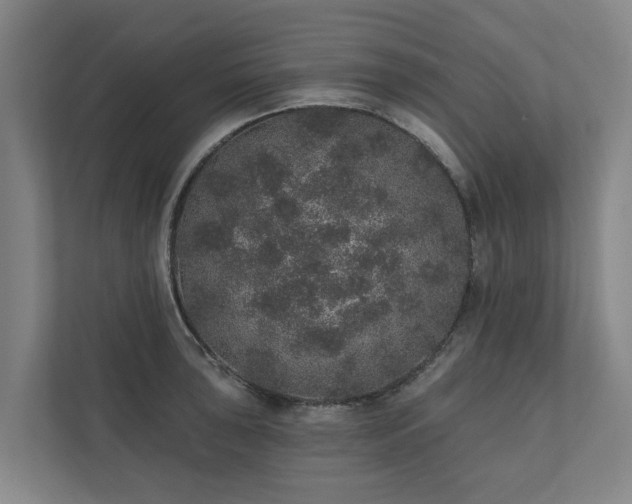 X0000110761043200906221118