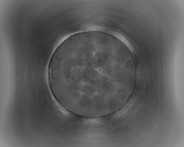 X0000110761047200906221118