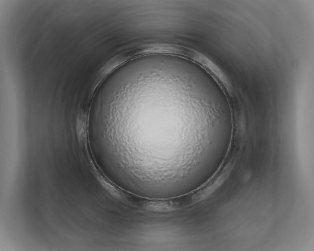 X0000110761049200906221118
