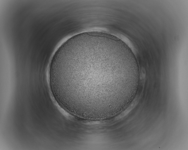 X0000110761054200906221118