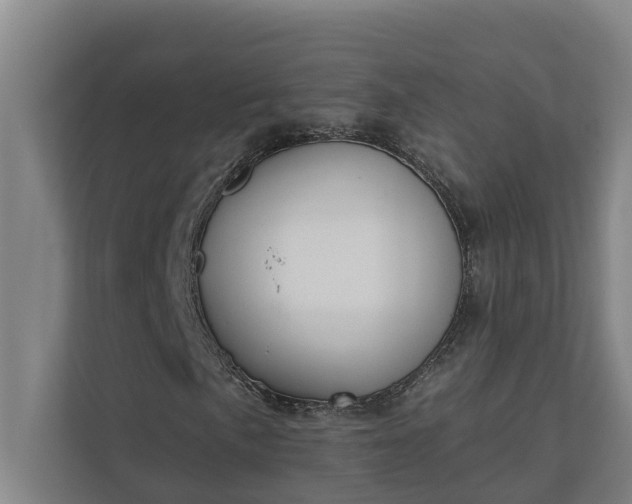 X0000110761057200906221118