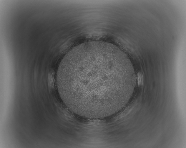 X0000110761059200906221117