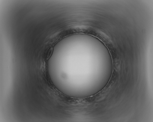 X0000110761061200906221117