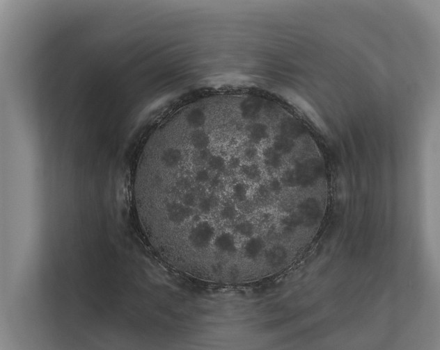 X0000110761063200906221117