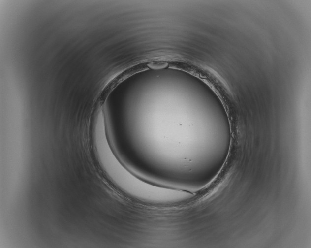X0000110761065200906221117