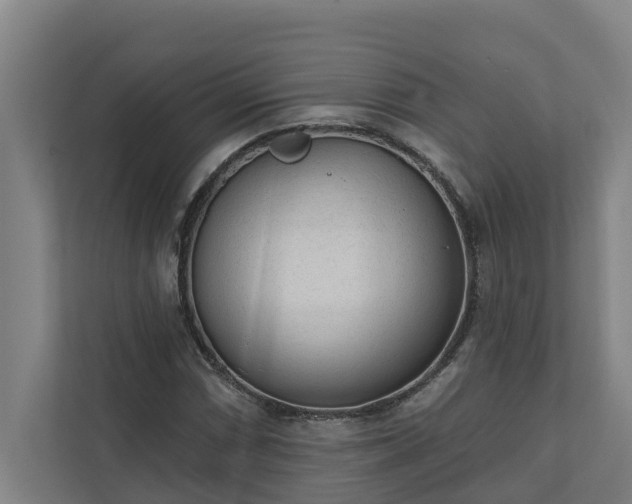 X0000110761066200906221117