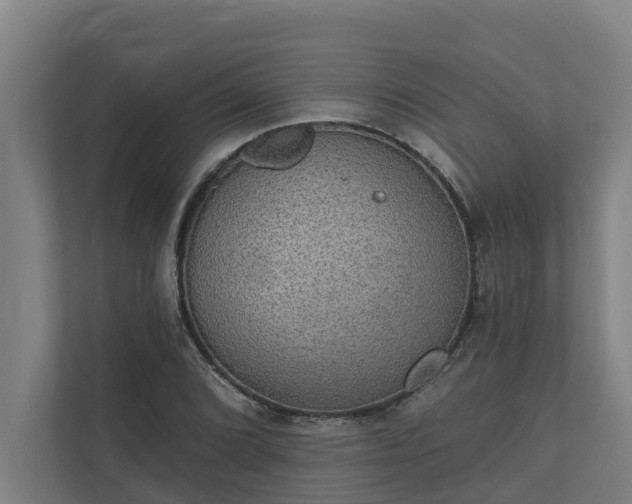 X0000110761072200906221117