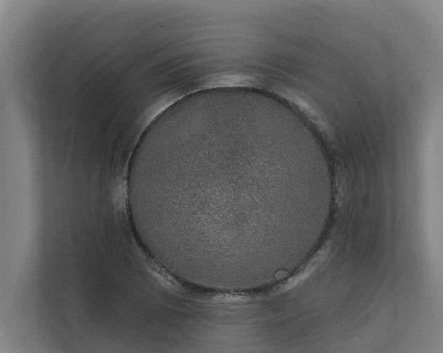 X0000110761073200906221117