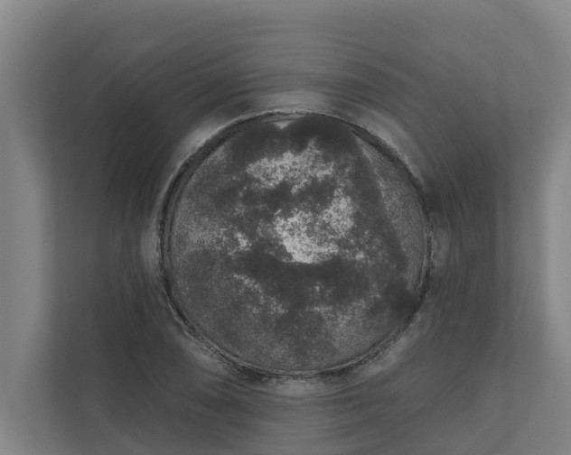 X0000110761074200906221117