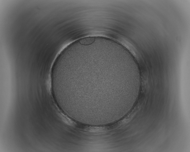 X0000110761076200906221117