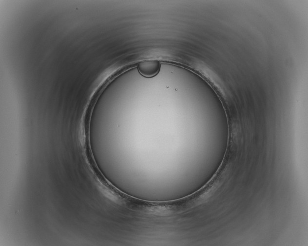 X0000110761082200906221117