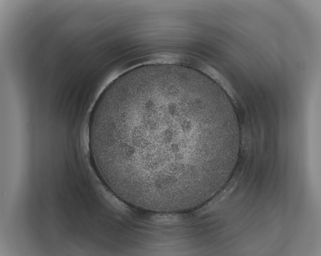 X0000110761083200906221117