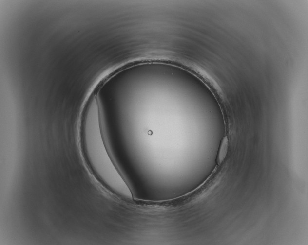 X0000110761085200906221117