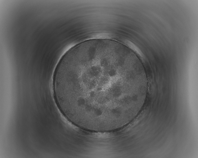 X0000110761087200906221117