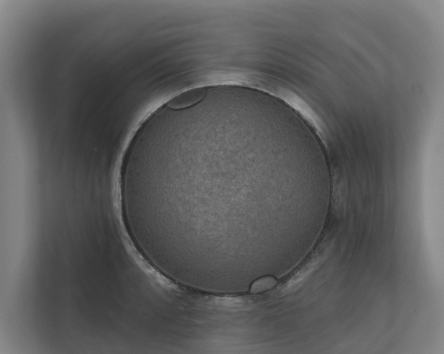 X0000110761088200906221117
